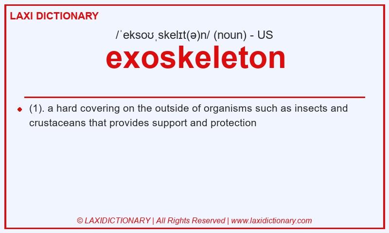 Definition exoskeleton in American English