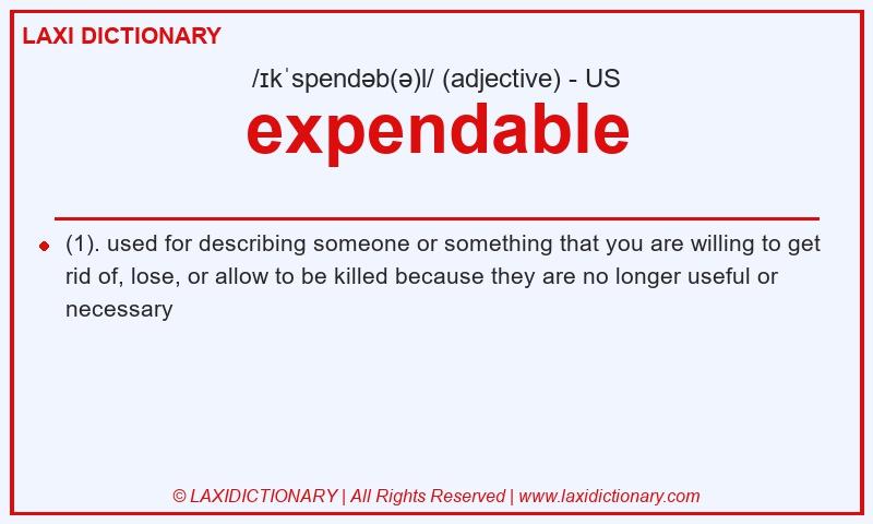 Definition expendable in American English