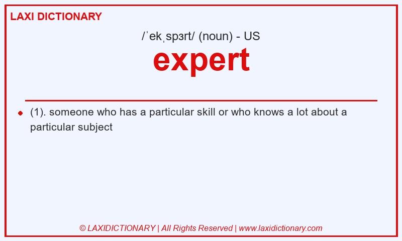 Definition expert in American English