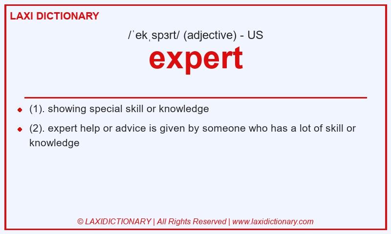 Definition expert in American English
