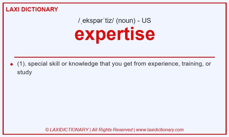 Definition expertise in American English