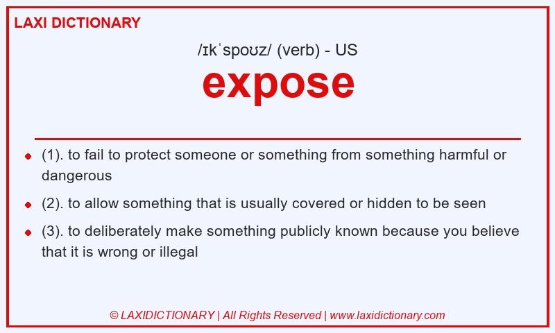 Definition expose in American English
