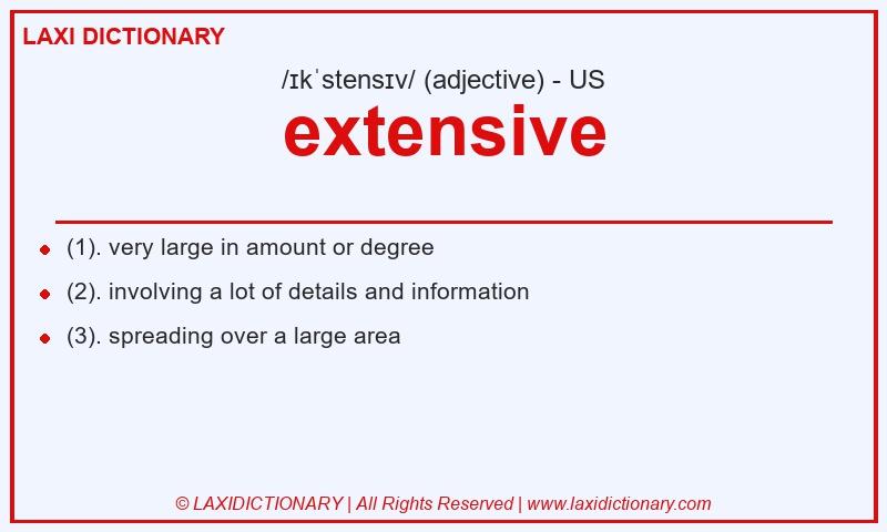 Definition extensive in American English