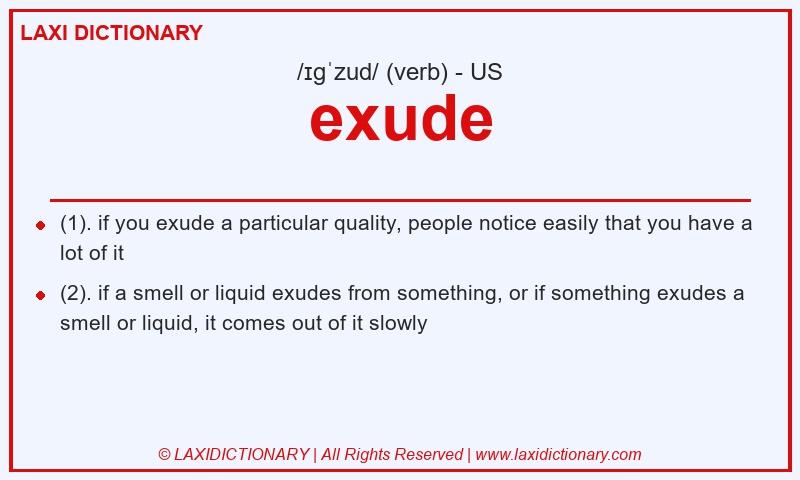 Definition exude in American English