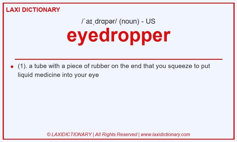 Definition eyedropper in American English