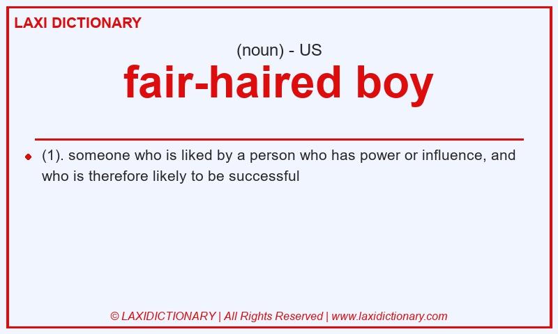 Definition fair-haired boy in American English