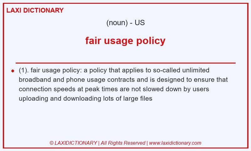 Definition fair usage policy in American English