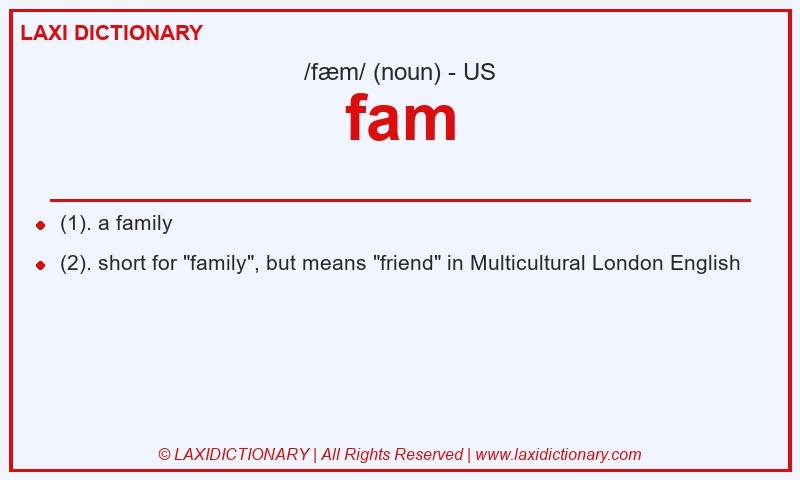 Definition fam in American English