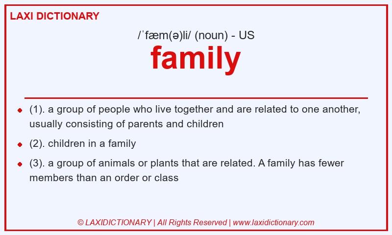 Definition family in American English