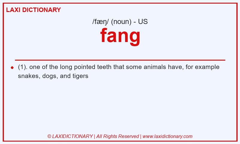 Definition fang in American English