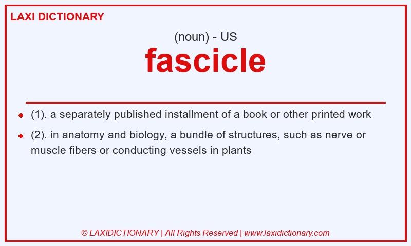 Definition fascicle in American English