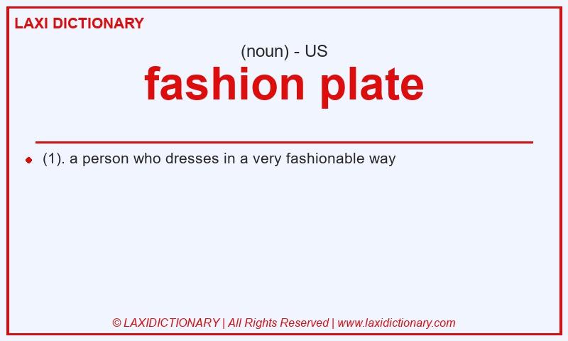 Definition fashion plate in American English