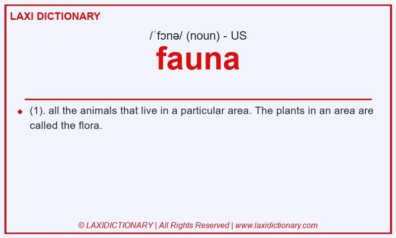 Definition fauna in American English