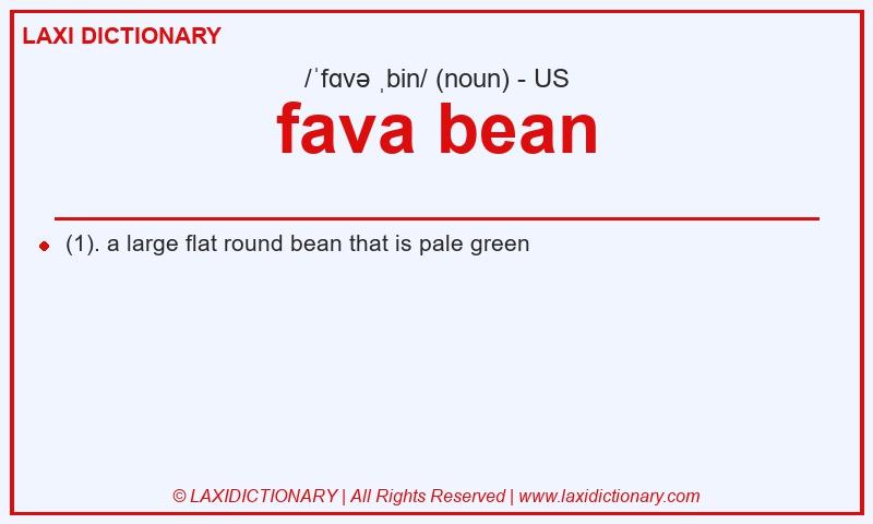 Definition fava bean in American English
