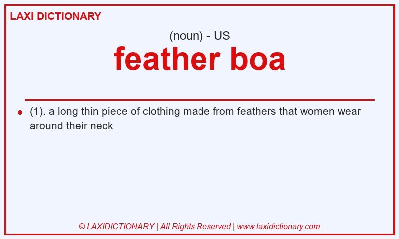 Definition feather boa in American English
