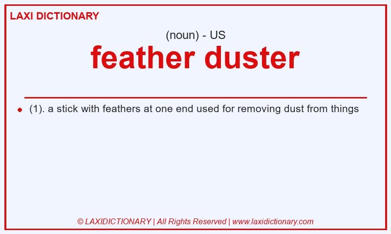 Definition feather duster in American English
