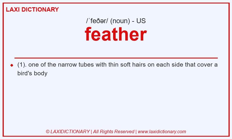 Definition feather in American English