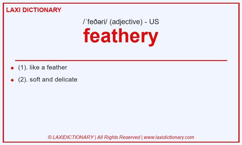 Definition feathery in American English