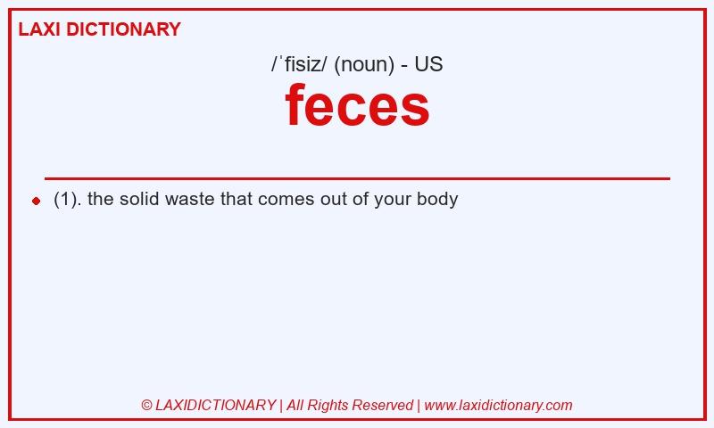 Definition feces in American English