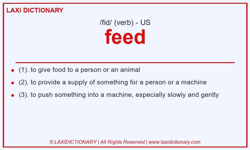 Definition feed in American English
