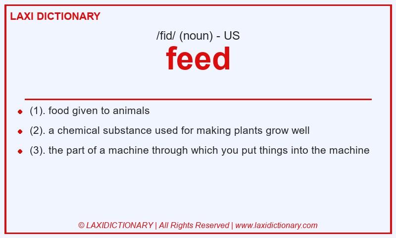 Definition feed in American English