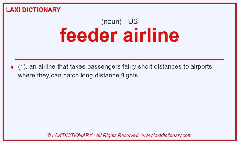 Definition feeder airline in American English