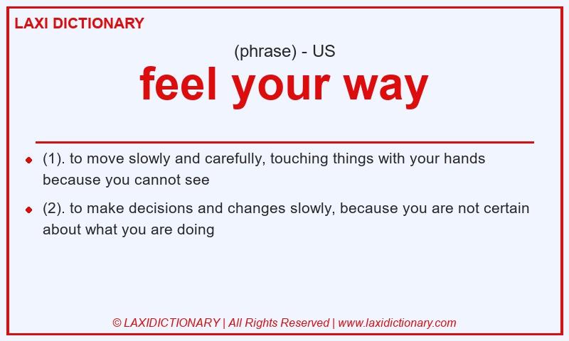 Definition feel your way in American English
