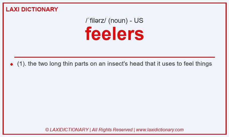 Definition feelers in American English