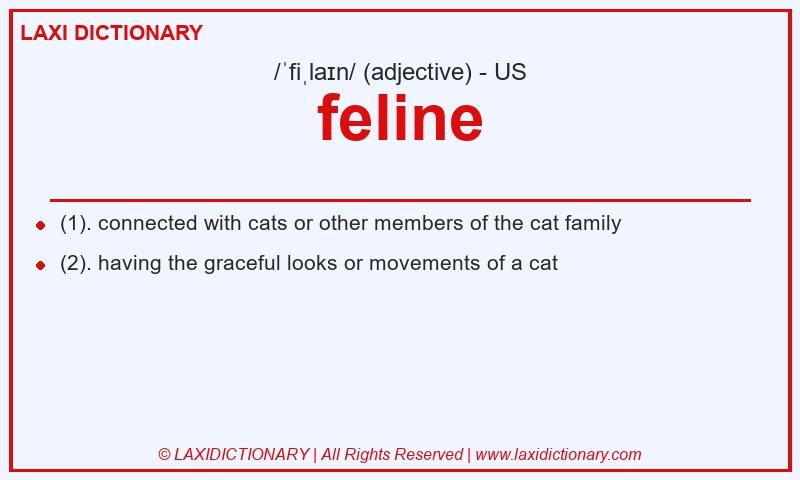 Definition feline in American English