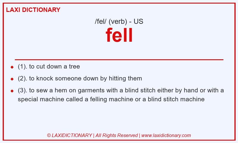Definition fell in American English