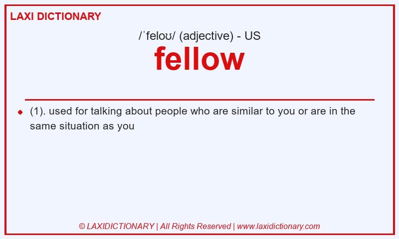 Definition fellow in American English