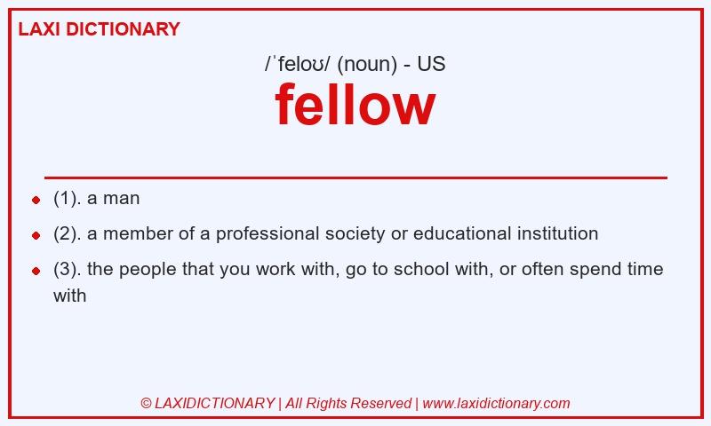 Definition fellow in American English