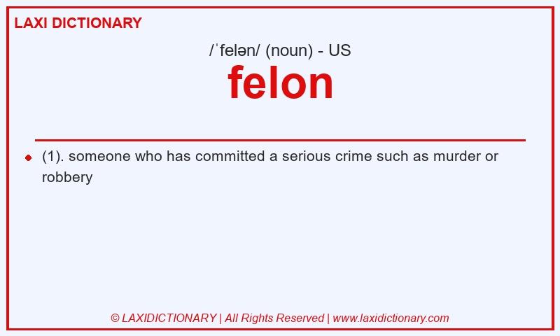 Definition felon in American English