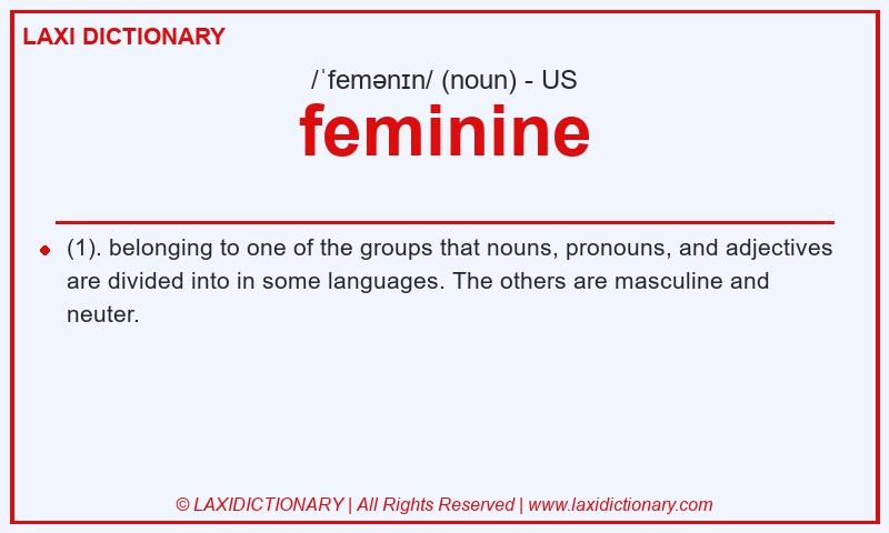 Definition feminine in American English