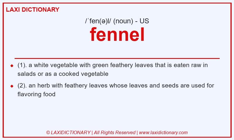 Definition fennel in American English