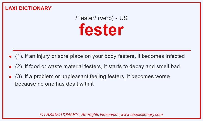Definition fester in American English