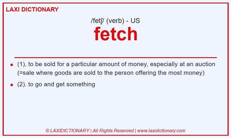 Definition fetch in American English