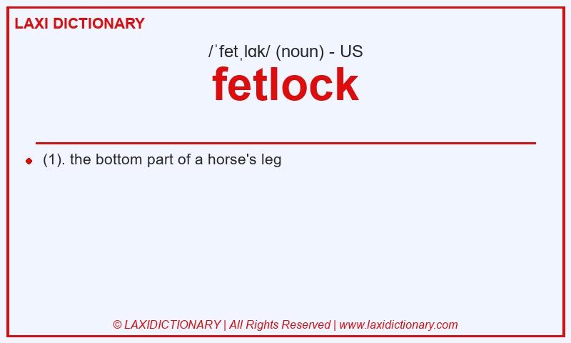 Definition fetlock in American English