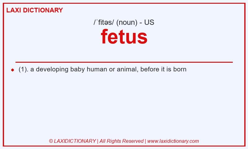 Definition fetus in American English