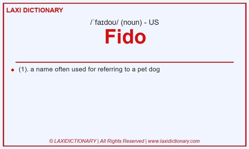 Definition Fido in American English