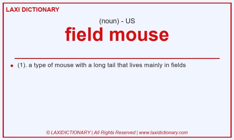 Definition field mouse in American English