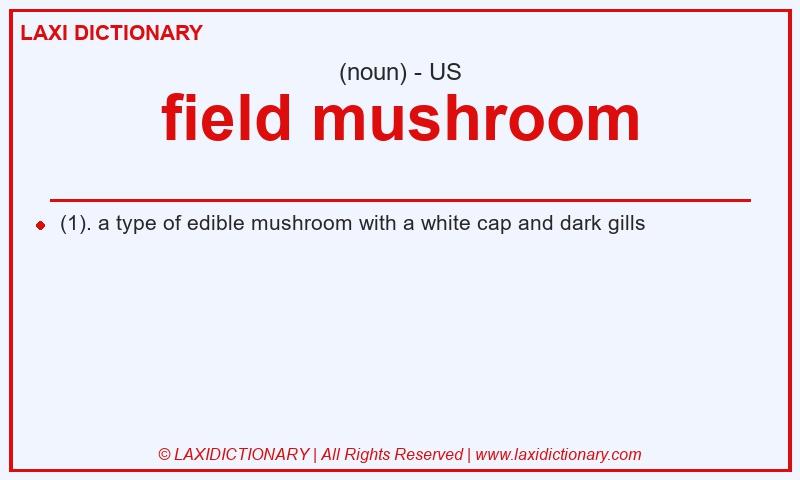 Definition field mushroom in American English