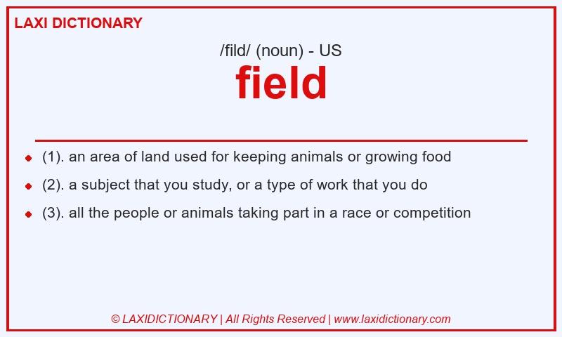 Definition field in American English