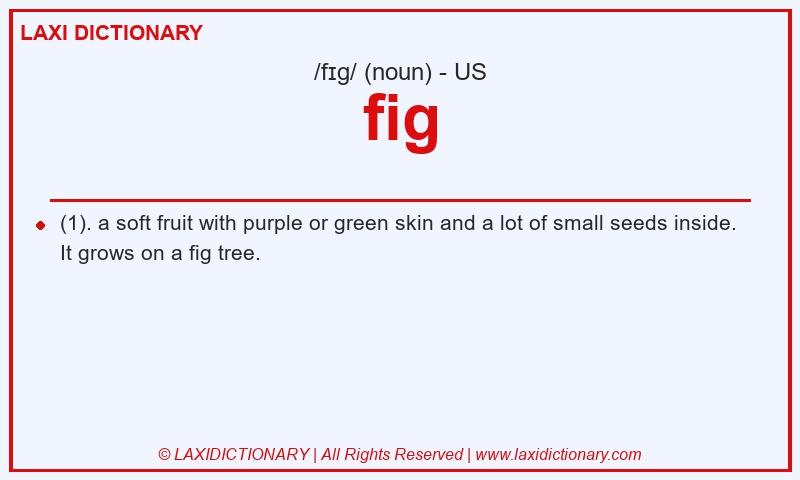 Definition fig in American English