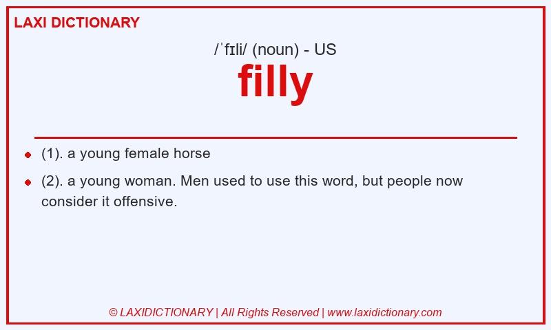 Definition filly in American English