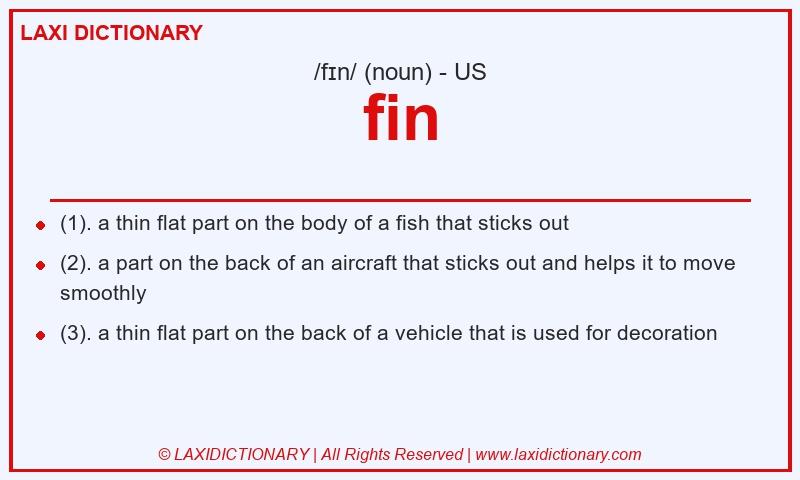 Definition fin in American English