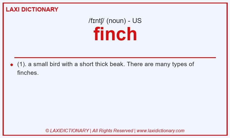 Definition finch in American English