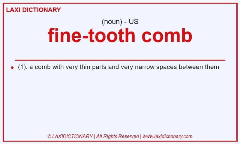 Definition fine-tooth comb in American English