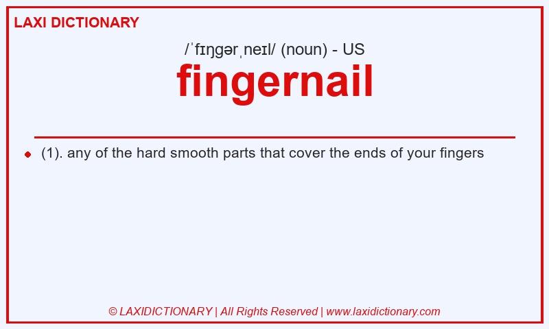 Definition fingernail in American English
