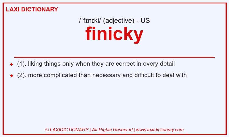 Definition finicky in American English